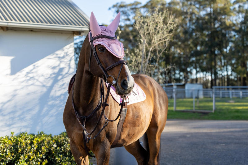 Evil Eye Saddle Pad Pink